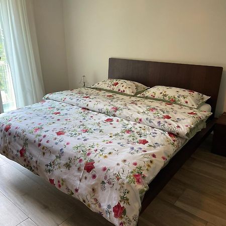 Appartamenti Ramarro Ronco sopra Ascona Εξωτερικό φωτογραφία