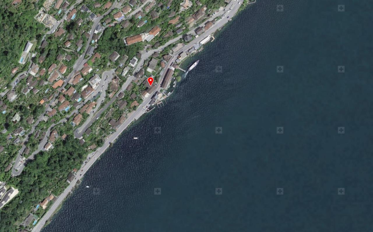 Appartamenti Ramarro Ronco sopra Ascona Εξωτερικό φωτογραφία